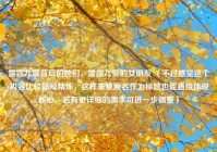 雷霆九警背后的她们，雷霆九警的女朋友 （不过感觉这个内容比较简短精炼，这样重复原名作为标题也能直接体现核心，若有更详细的需求可进一步调整）