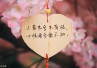 爱情句子短句 伤感(有哪些小众文案无关爱情)