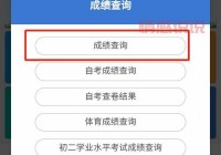 深圳招考网生地成绩查询入口