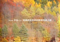 Steam 平台 CS，经典射击游戏的辉煌传承之路