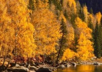 福州旅游必去十大景点大盘点，新手小白避坑指南！