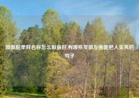 姐姐脱单群名称怎么取最好,有哪些发朋友圈能把人笑死的句子