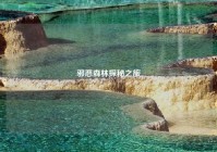 邪恶森林探秘之旅