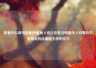 家是什么短句经典伤感,有人说人在低谷时最令人心寒的不是朋友的远离和生存的压力