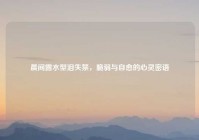 晨间露水型泪失禁，脆弱与自愈的心灵密语