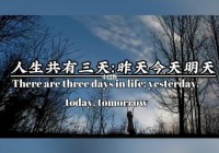 心情短语精选：励志情感与生活智慧分享