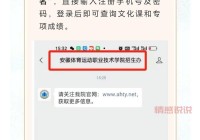 深圳招考网：2024年中考成绩查询及招生信息一站式服务