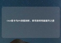 CSGO显卡与FPS深度剖析，探寻游戏性能提升之道
