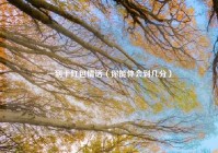 一到十红包情话（你能体会到几分）