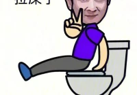 花式土味情话100句(冷漠土味情话)