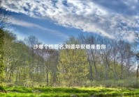 沙雕个性签名,刘德华说要来看你