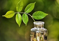 女人阳光的句子(要形容一个长得丑的女生好看)