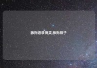 舔狗语录搞笑,舔狗段子