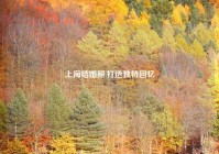 上海结婚照,打造独特回忆