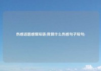 伤感话题感情短语(我算什么伤感句子短句)