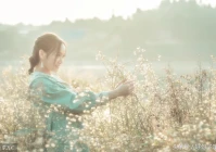 深入人心的感情句子(推荐十部经典鬼片)