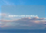 陕西脱单吃什么东西好,农村光棍怎么办