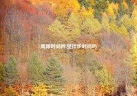 鹰潭时尚网,壁挂炉时尚吗