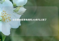 社会单身脱单有用吗,2020年马上到了