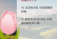 打动一个男人的心里话：让他瞬间爱上你的暖心秘籍！