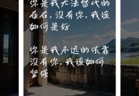 句句戳中你的情感软肋（那些让人泪流满面的情感文案）