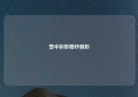 雪中彩影婚纱摄影