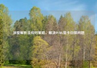 深度解析及应对策略，解决PUBG显卡白屏问题