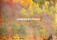 探秘搭讪师雅利神秘房间