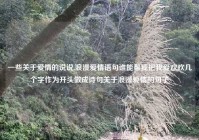 一些关于爱情的说说,浪漫爱情语句谁能帮我把我爱欢欢几个字作为开头做成诗句关于浪漫爱情的句子