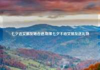 七夕送女朋友啥合适,如果七夕不给女朋友送礼物