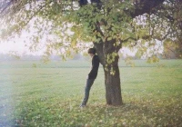 伤感句子句句心痛短句(有哪些令人听到就难过悲伤想哭的歌)