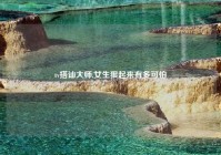 tv搭讪大师,女生狠起来有多可怕