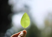 心烦心累心情不好(你是如何释放自己的负能量的)