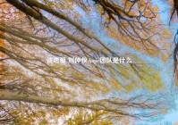 谈恋爱 刘仲仪,hope团队是什么