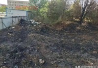 想看忻州头条新闻？这几个平台24小时更新！