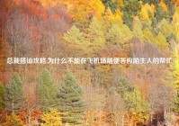 总裁搭讪攻略,为什么不能在飞机场随便答应陌生人的帮忙