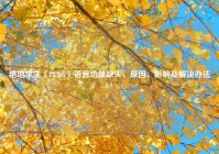 绝地求生（PUBG）语音功能缺失，原因、影响及解决办法