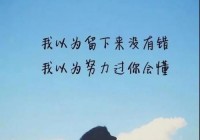 情感句子说说心情图片：用心去爱，才是最真实的表达