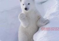 世纪佳缘情感说说：爱在心中，与你相守一生