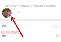 聊天室吸引人的名字怎么取？这几个方法很实用！