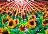 搞笑励志语录经典短句子(或者幽默搞笑的事情是什么)