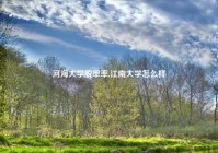 河海大学脱单率,江南大学怎么样