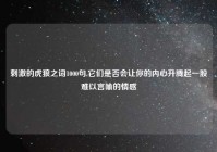 刺激的虎狼之词1000句,它们是否会让你的内心升腾起一股难以言喻的情感