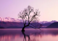 爱情说说适合发朋友圈的文案(8年恋爱结婚文案)