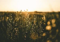 搜个好的个性签名(你用过哪些很有个性的签名)