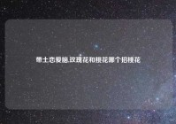 带土恋爱脑,玫瑰花和桃花哪个招桃花