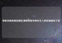 电影动物恋爱也疯狂,哪部电影中狗对主人的忠诚感动了你