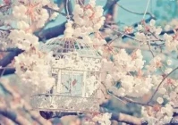 个性签名短句最火(支付宝个性签名短句8个字)