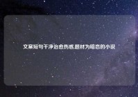 文案短句干净治愈伤感,题材为暗恋的小说