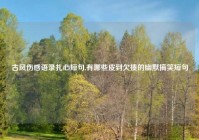 古风伤感语录扎心短句,有哪些皮到欠揍的幽默搞笑短句